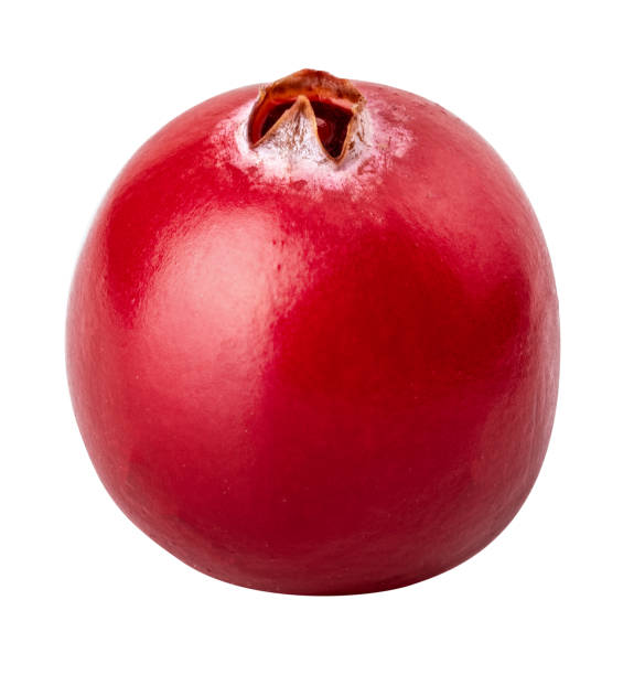 cranberry.