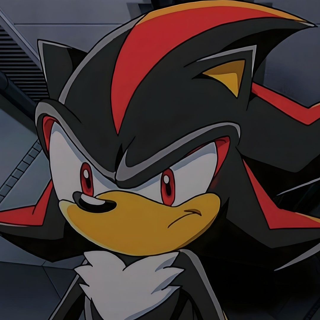 Shadow the Hedgehog